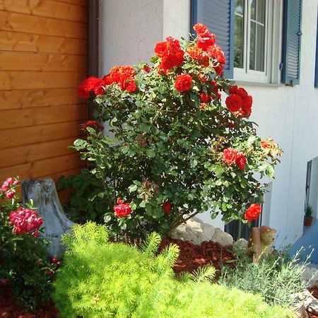Ferienwohnung Weiser Kressbronn am Bodensee Εξωτερικό φωτογραφία